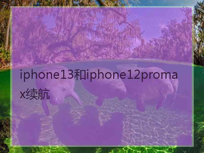 iphone13和iphone12promax续航