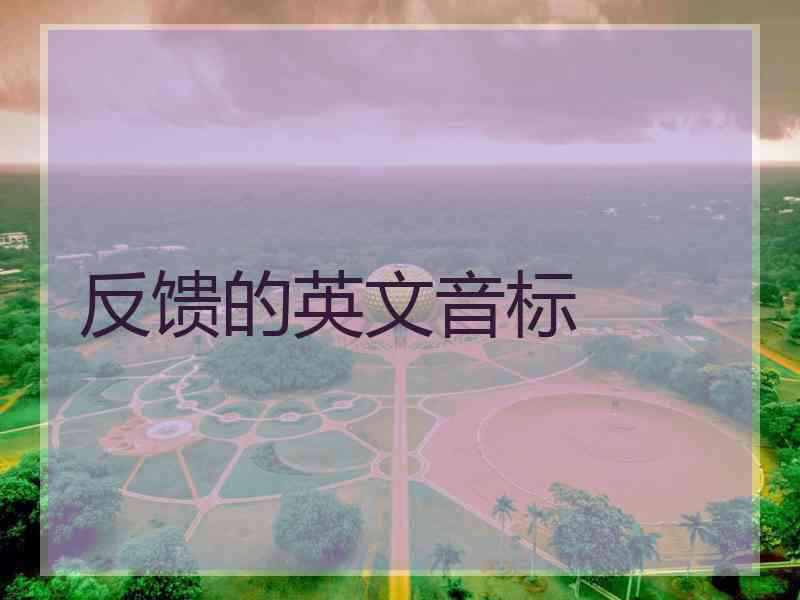 反馈的英文音标