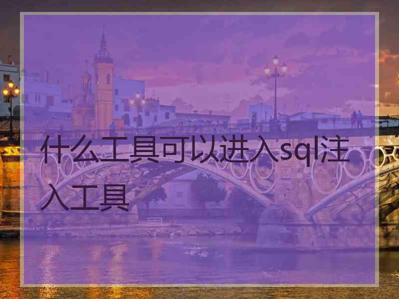什么工具可以进入sql注入工具