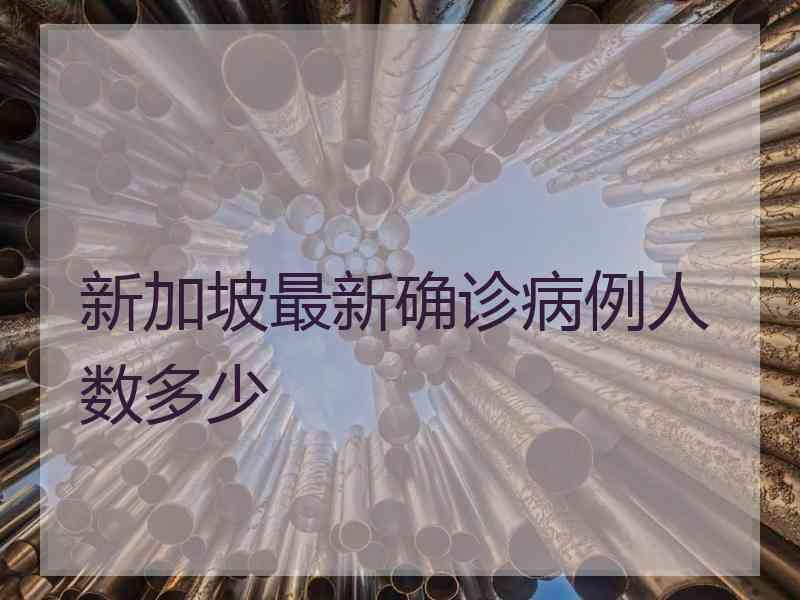 新加坡最新确诊病例人数多少