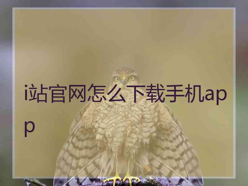 i站官网怎么下载手机app