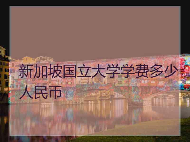新加坡国立大学学费多少人民币