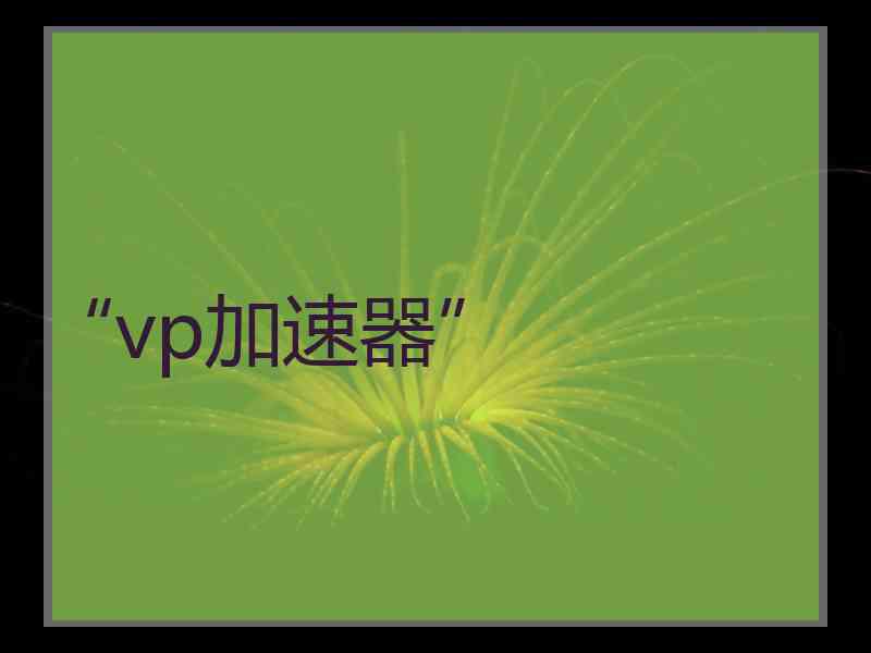 “vp加速器”
