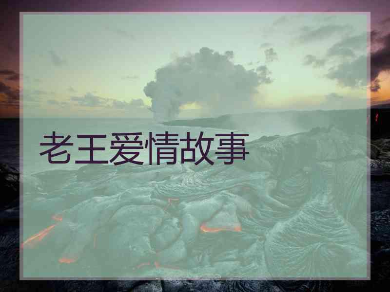 老王爱情故事