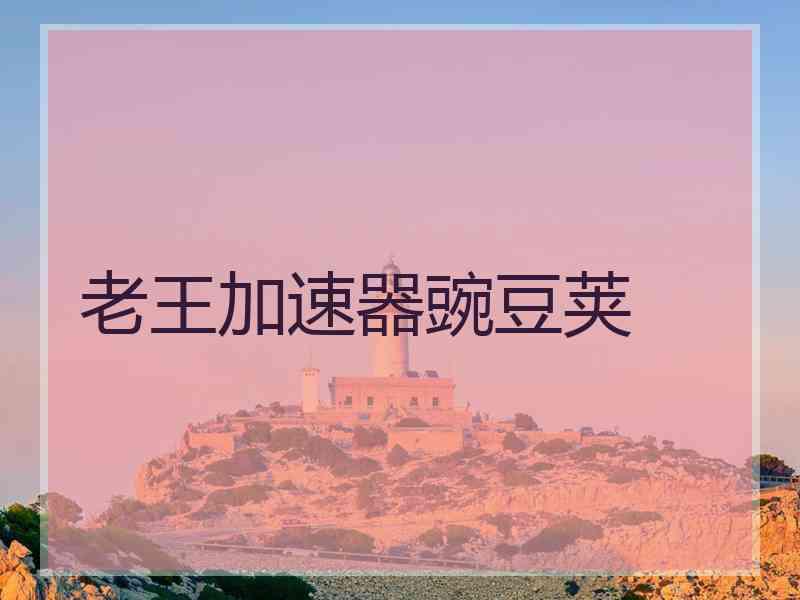 老王加速器豌豆荚