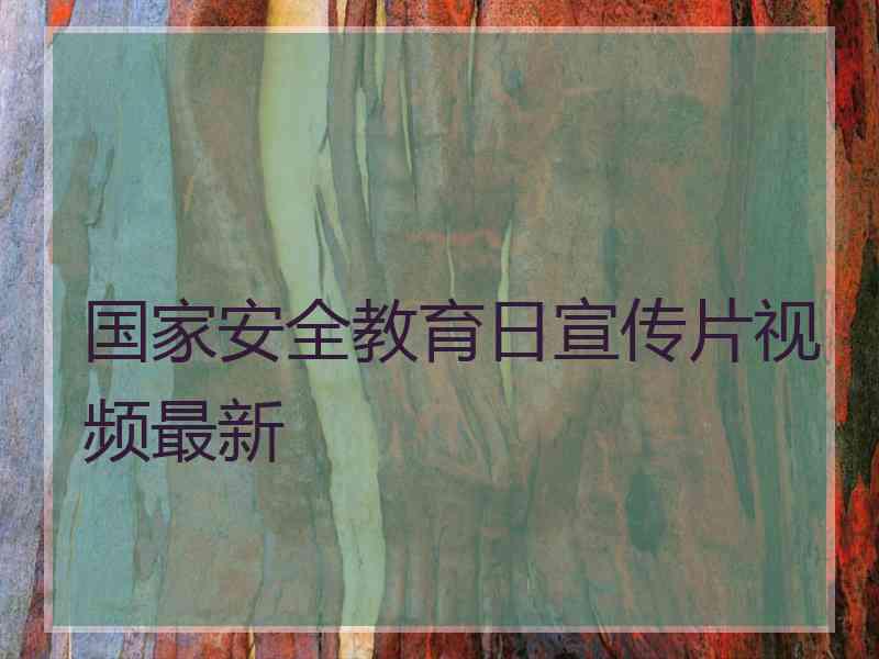 国家安全教育日宣传片视频最新