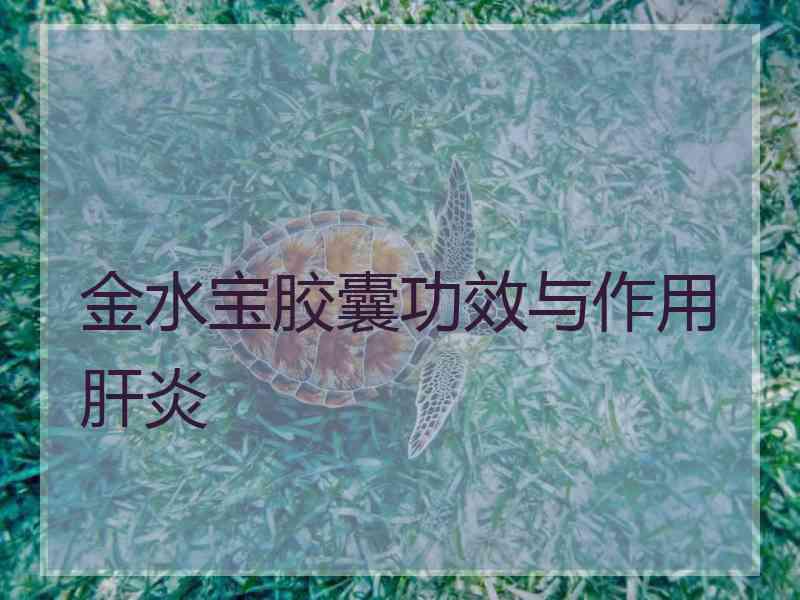 金水宝胶囊功效与作用肝炎