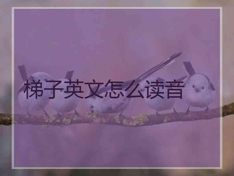 梯子英文怎么读音