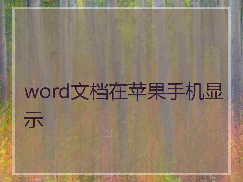 word文档在苹果手机显示