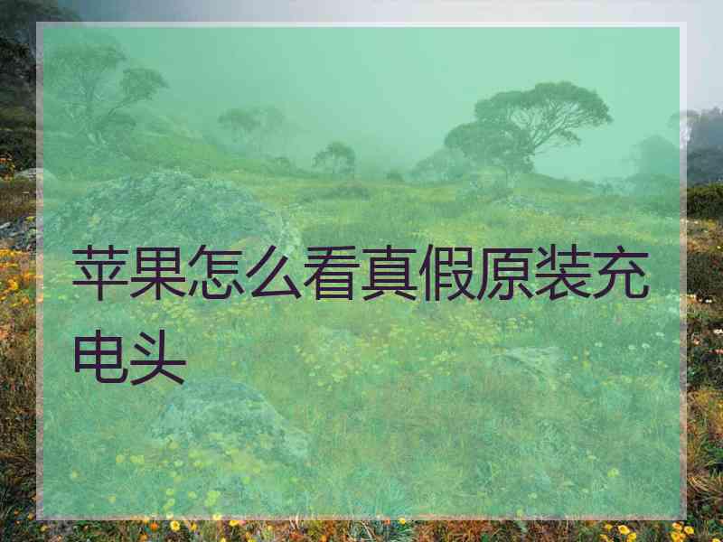 苹果怎么看真假原装充电头