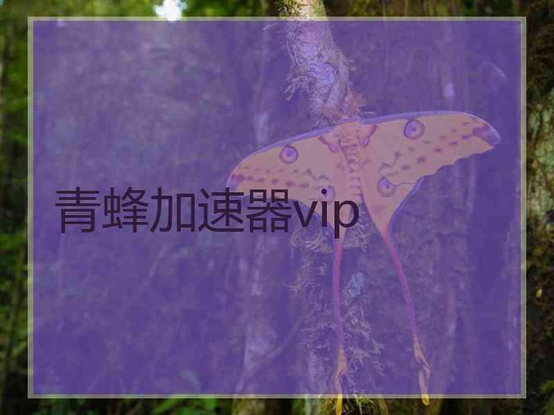 青蜂加速器vip