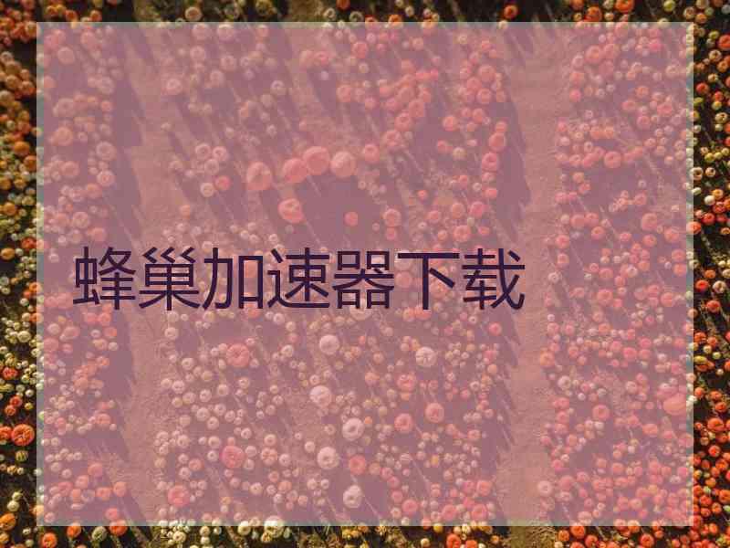 蜂巢加速器下载