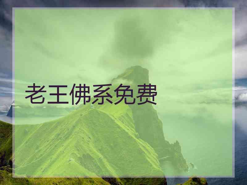 老王佛系免费