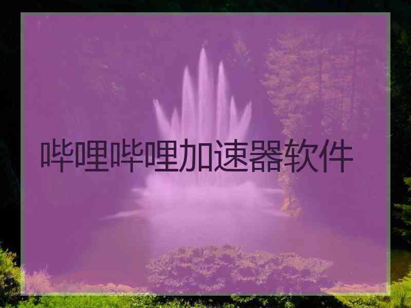 哔哩哔哩加速器软件