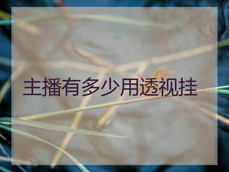 主播有多少用透视挂