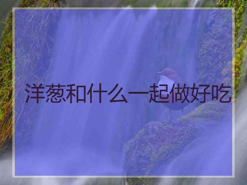 洋葱和什么一起做好吃