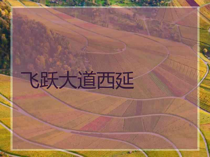 飞跃大道西延