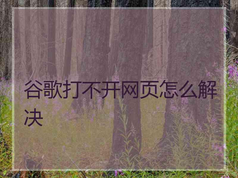 谷歌打不开网页怎么解决