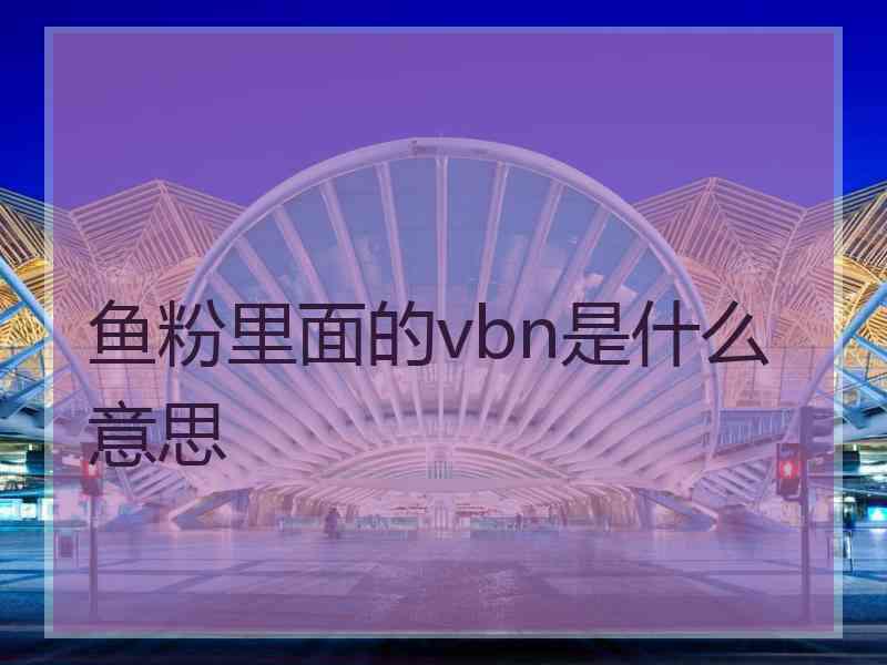 鱼粉里面的vbn是什么意思