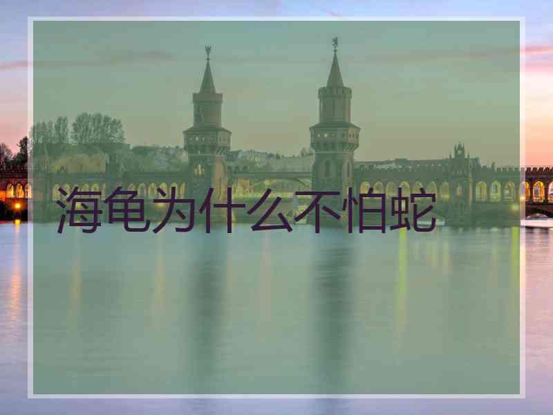 海龟为什么不怕蛇