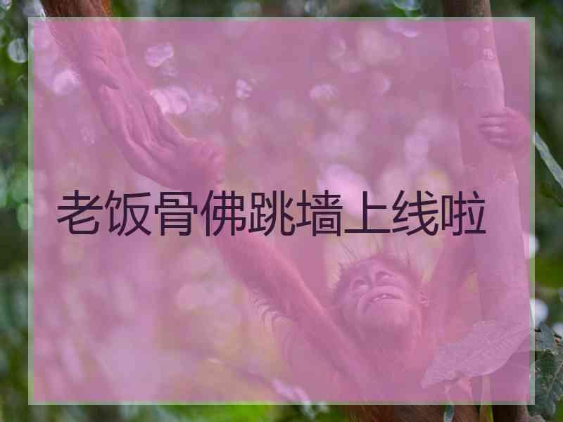 老饭骨佛跳墙上线啦