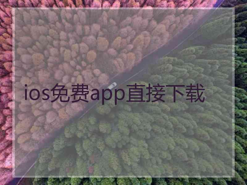 ios免费app直接下载