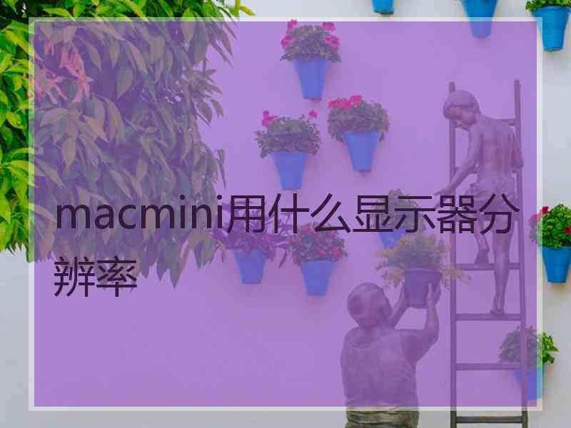 macmini用什么显示器分辨率