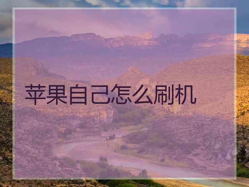 苹果自己怎么刷机