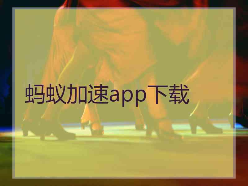 蚂蚁加速app下载