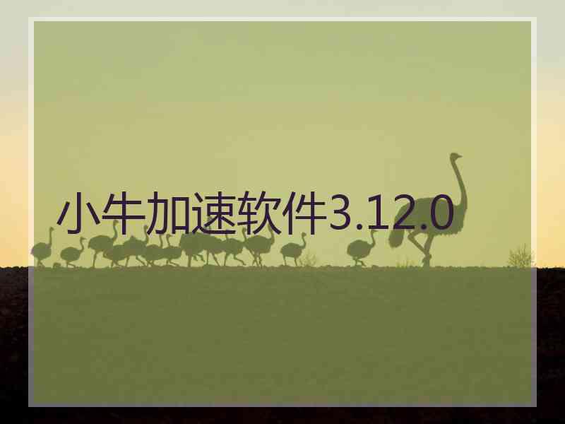 小牛加速软件3.12.0