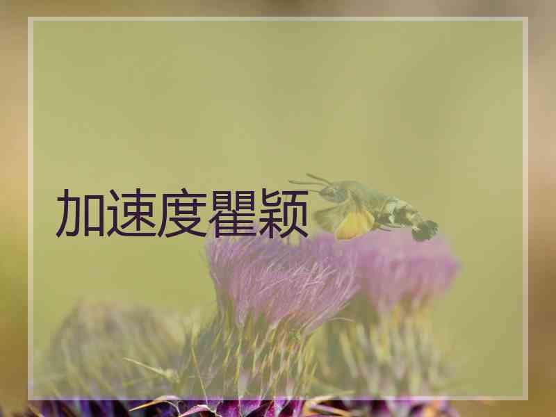 加速度瞿颖