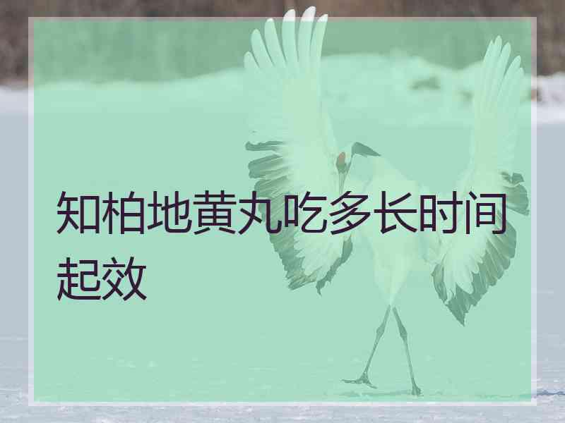 知柏地黄丸吃多长时间起效