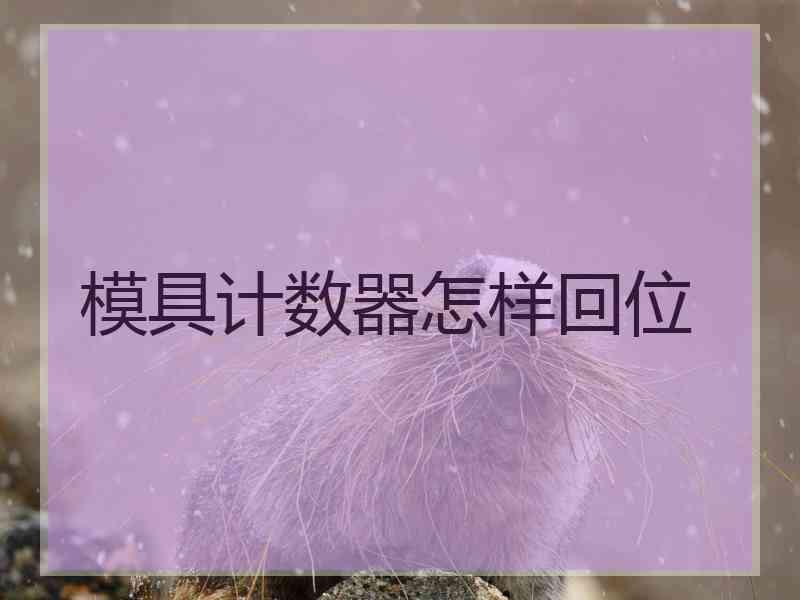 模具计数器怎样回位