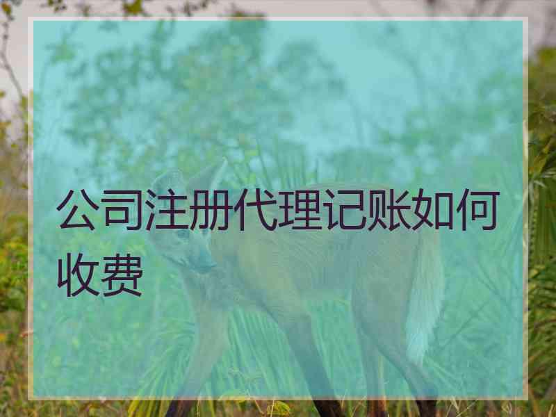 公司注册代理记账如何收费
