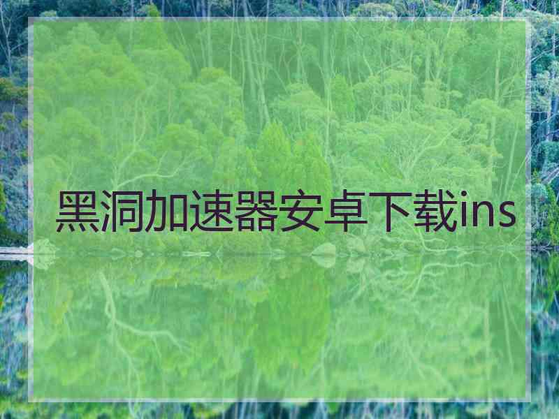 黑洞加速器安卓下载ins