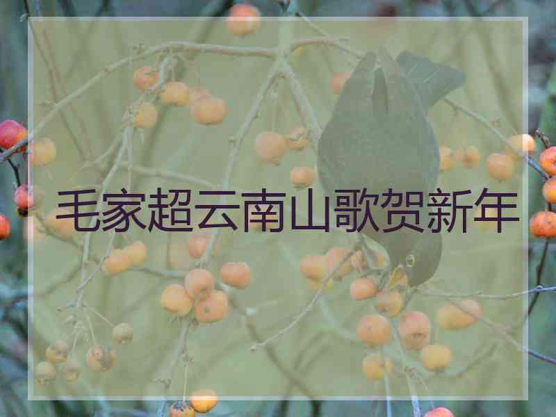 毛家超云南山歌贺新年