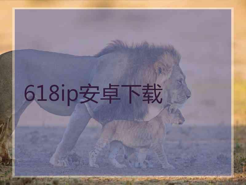 618ip安卓下载