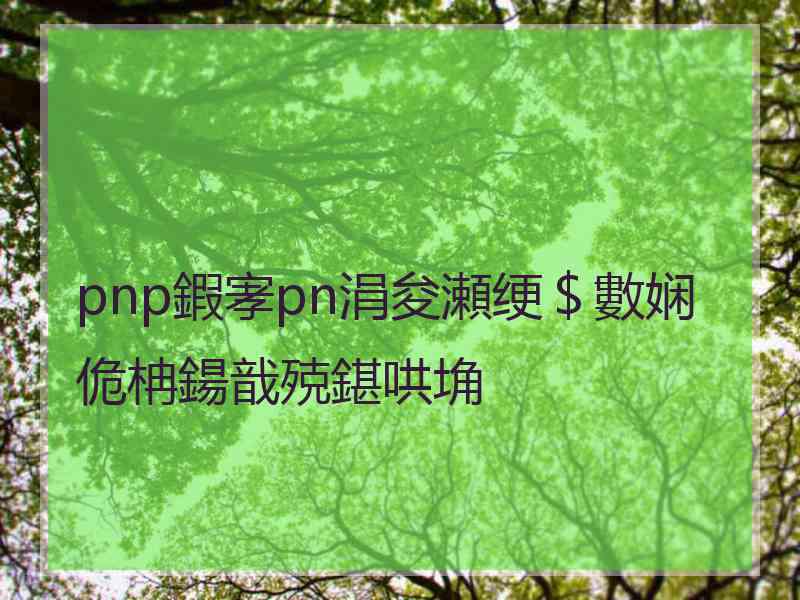 pnp鍜宯pn涓夋瀬绠＄數娴佹柟鍚戠殑鍖哄埆