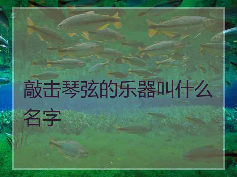 敲击琴弦的乐器叫什么名字