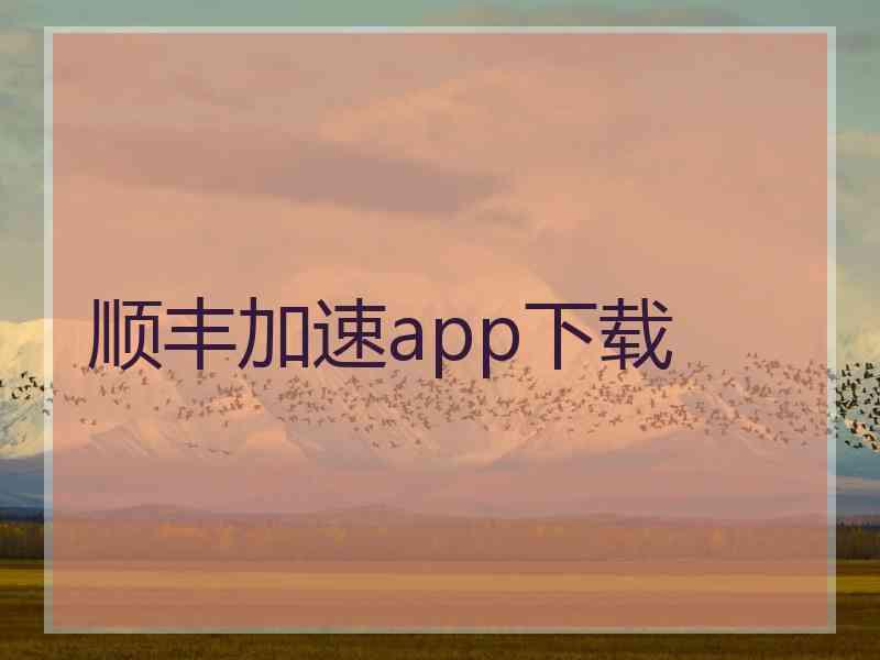 顺丰加速app下载