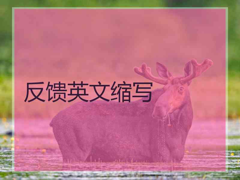 反馈英文缩写