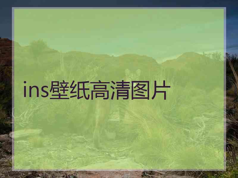 ins壁纸高清图片