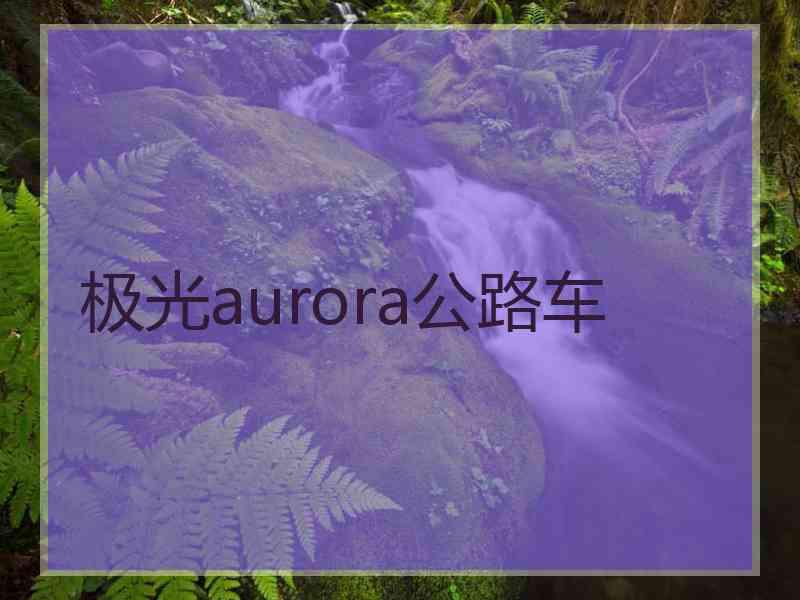 极光aurora公路车