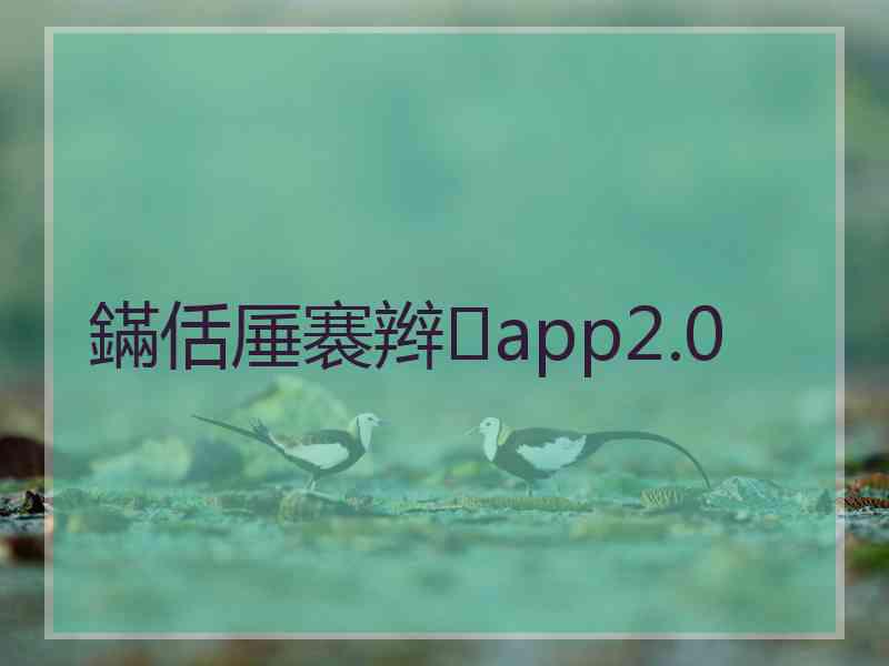 鏋佸厜褰辫app2.0