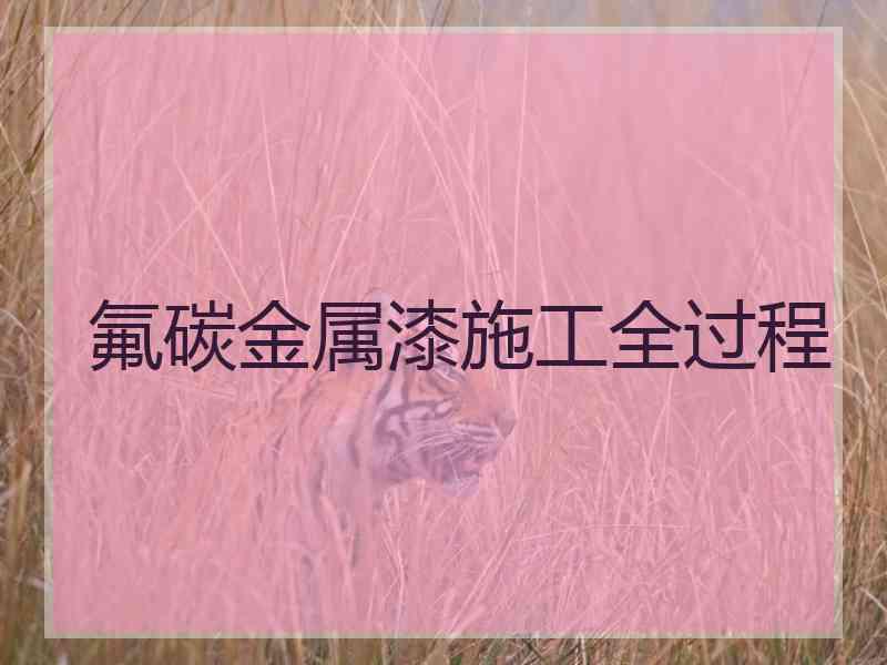 氟碳金属漆施工全过程