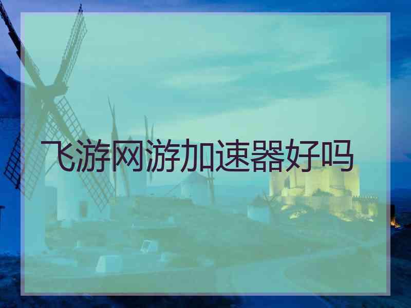 飞游网游加速器好吗