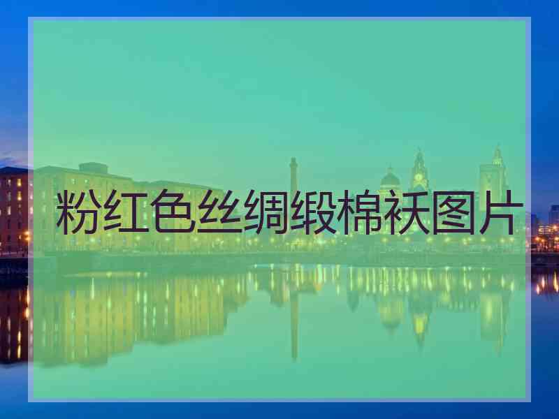 粉红色丝绸缎棉袄图片