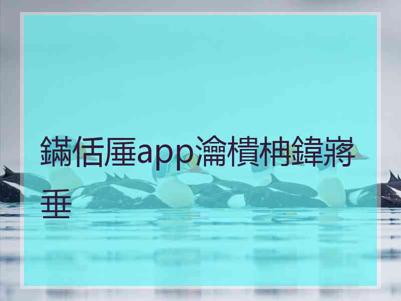 鏋佸厜app瀹樻柟鍏嶈垂