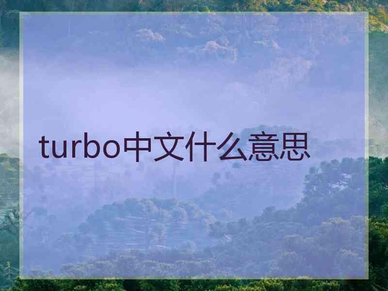 turbo中文什么意思