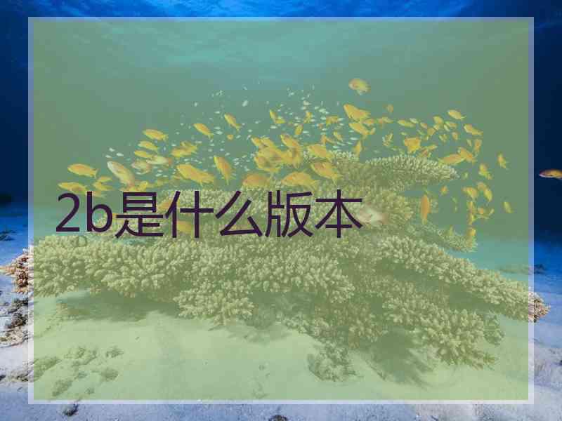 2b是什么版本